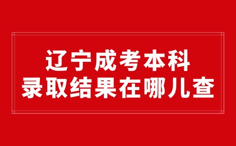 辽宁成考本科录取结果在哪儿查