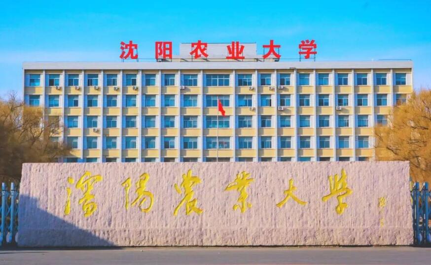 沈阳农业大学成考报名条件